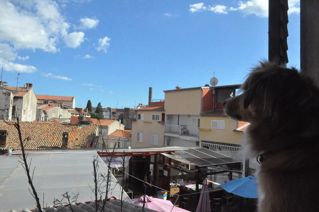 Riva Hostel PUY 풀라